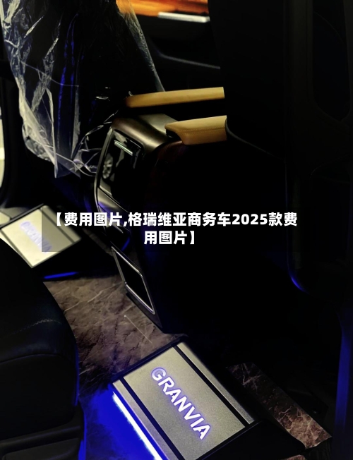 【费用图片,格瑞维亚商务车2025款费用图片】-第2张图片