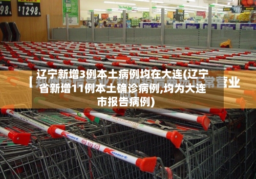 辽宁新增3例本土病例均在大连(辽宁省新增11例本土确诊病例,均为大连市报告病例)-第2张图片