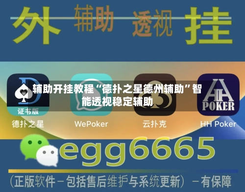 辅助开挂教程“德扑之星德州辅助	”智能透视稳定辅助-第2张图片