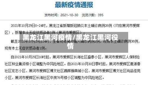 黑龙江黑河疫情/黑龙江黑河役情-第3张图片