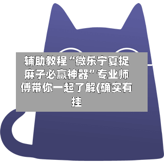 辅助教程“微乐宁夏捉麻子必赢神器	”专业师傅带你一起了解(确实有挂-第3张图片
