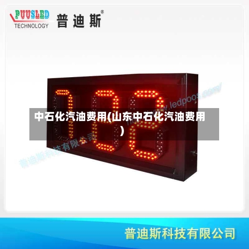 中石化汽油费用(山东中石化汽油费用)-第2张图片