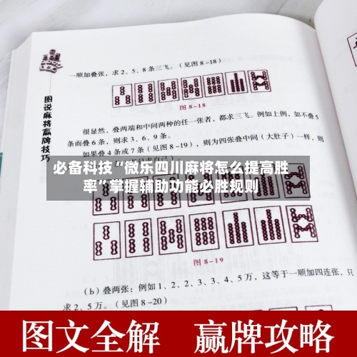 必备科技“微乐四川麻将怎么提高胜率	”掌握辅助功能必胜规则-第1张图片