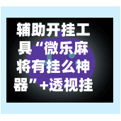 辅助开挂工具“微乐麻将有挂么神器”+透视挂”开挂辅助软件教程-第2张图片