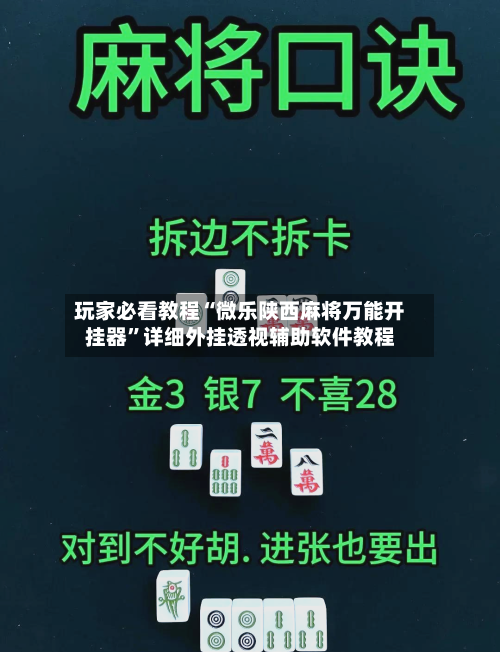 玩家必看教程“微乐陕西麻将万能开挂器”详细外挂透视辅助软件教程-第2张图片