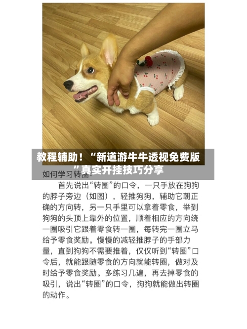 教程辅助！“新道游牛牛透视免费版”真实开挂技巧分享-第1张图片