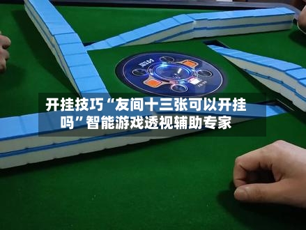 开挂技巧“友间十三张可以开挂吗”智能游戏透视辅助专家-第3张图片