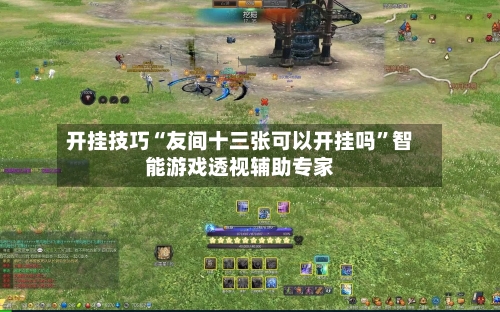 开挂技巧“友间十三张可以开挂吗”智能游戏透视辅助专家-第2张图片