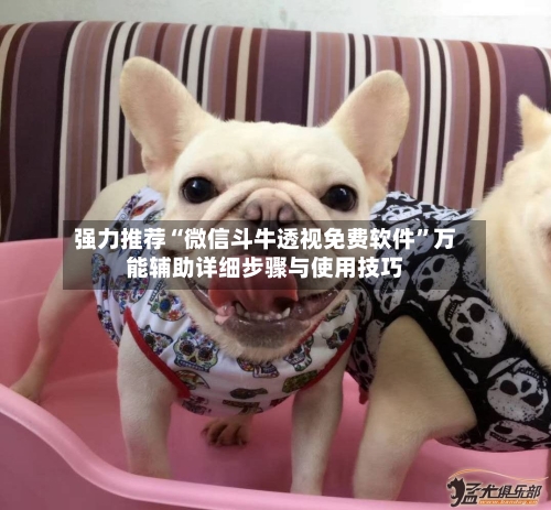 强力推荐“微信斗牛透视免费软件	”万能辅助详细步骤与使用技巧-第3张图片