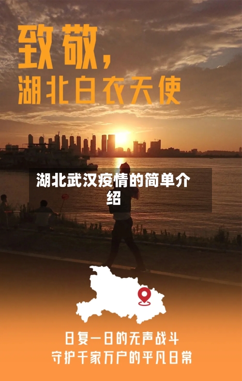 湖北武汉疫情的简单介绍-第2张图片