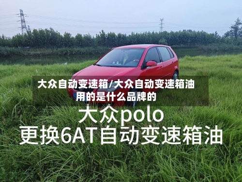 大众自动变速箱/大众自动变速箱油用的是什么品牌的-第2张图片