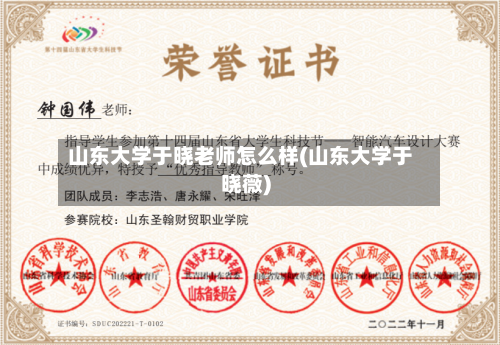 山东大学于晓老师怎么样(山东大学于晓薇)-第1张图片