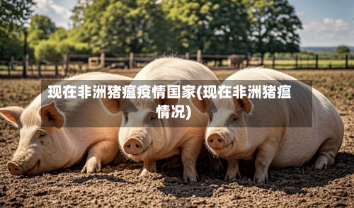 现在非洲猪瘟疫情国家(现在非洲猪瘟情况)-第2张图片