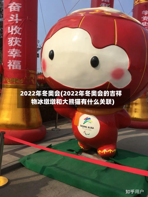 2022年冬奥会(2022年冬奥会的吉祥物冰墩墩和大熊猫有什么关联)-第2张图片