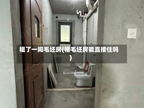 租了一间毛坯房(租毛坯房能直接住吗)-第2张图片