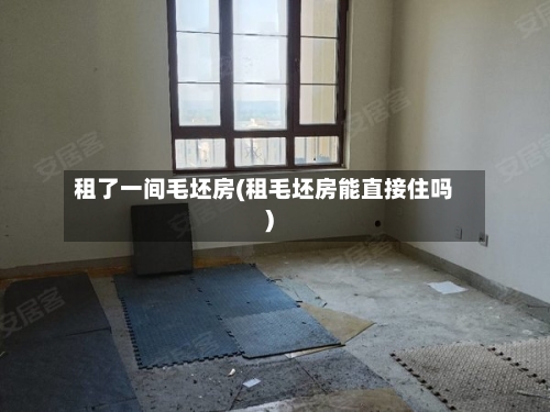 租了一间毛坯房(租毛坯房能直接住吗)-第3张图片