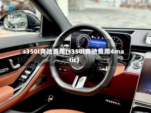 s350l奔驰费用(s350l奔驰费用4matic)-第1张图片