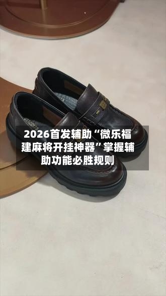 2026首发辅助“微乐福建麻将开挂神器”掌握辅助功能必胜规则-第2张图片