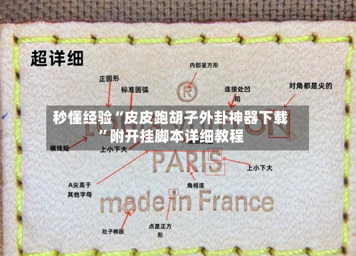 秒懂经验“皮皮跑胡子外卦神器下载”附开挂脚本详细教程-第3张图片