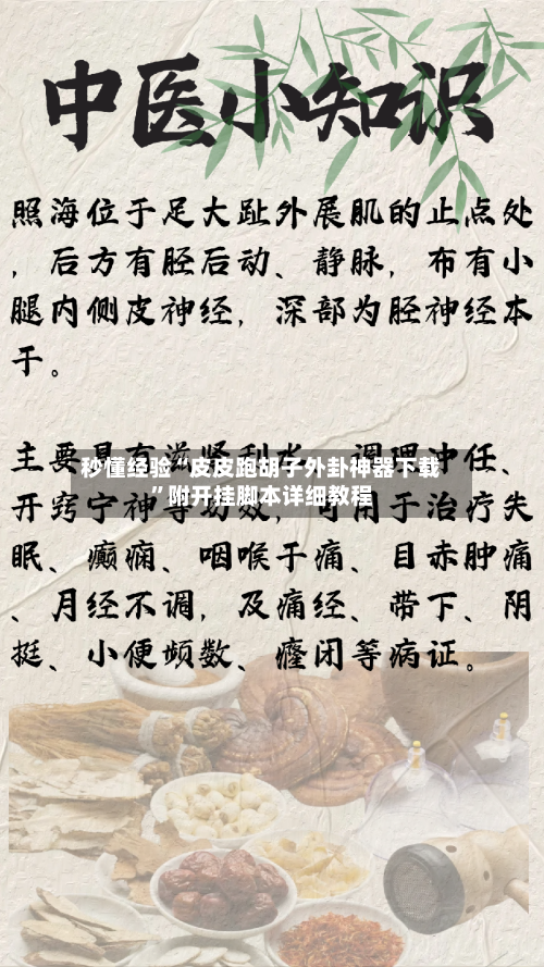 秒懂经验“皮皮跑胡子外卦神器下载”附开挂脚本详细教程-第2张图片