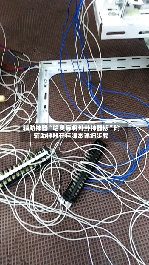 辅助神器“哈灵麻将外卦神器版”附辅助神器开挂脚本详细步骤-第2张图片