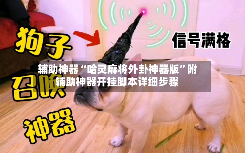 辅助神器“哈灵麻将外卦神器版	”附辅助神器开挂脚本详细步骤-第1张图片