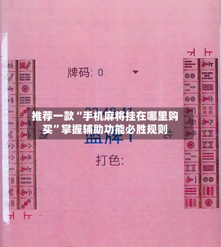 推荐一款“手机麻将挂在哪里购买	”掌握辅助功能必胜规则-第2张图片