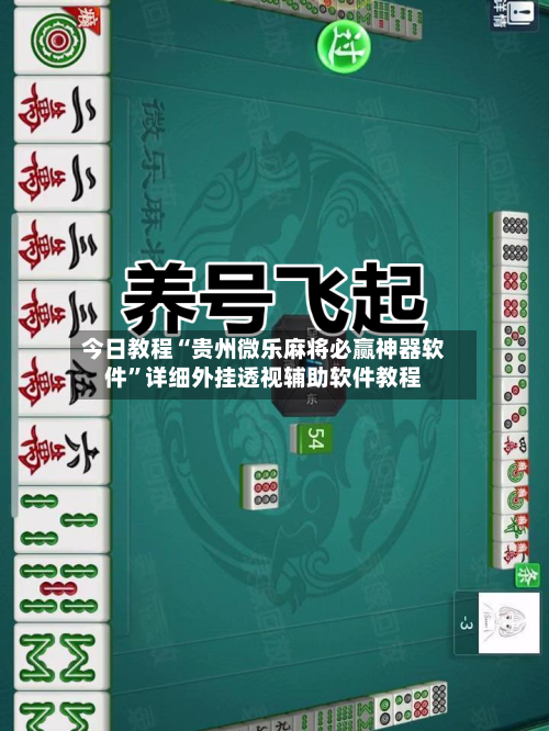 今日教程“贵州微乐麻将必赢神器软件”详细外挂透视辅助软件教程-第3张图片