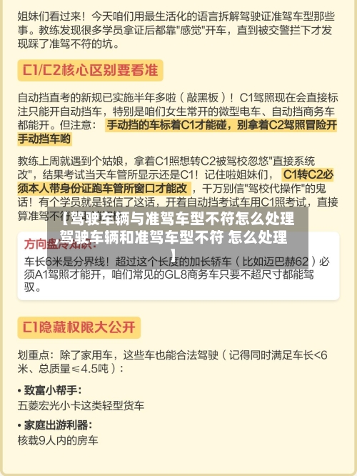 【驾驶车辆与准驾车型不符怎么处理,驾驶车辆和准驾车型不符 怎么处理】-第1张图片