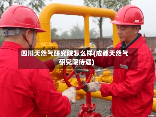 四川天然气研究院怎么样(成都天然气研究院待遇)-第1张图片