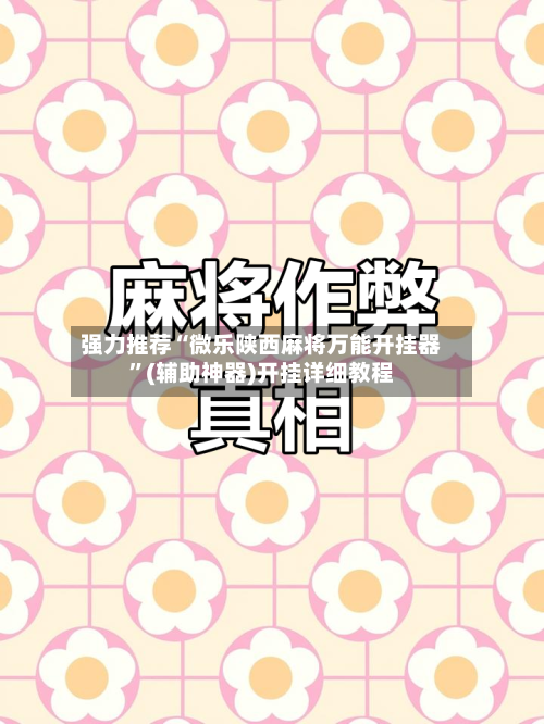强力推荐“微乐陕西麻将万能开挂器	”(辅助神器)开挂详细教程-第2张图片
