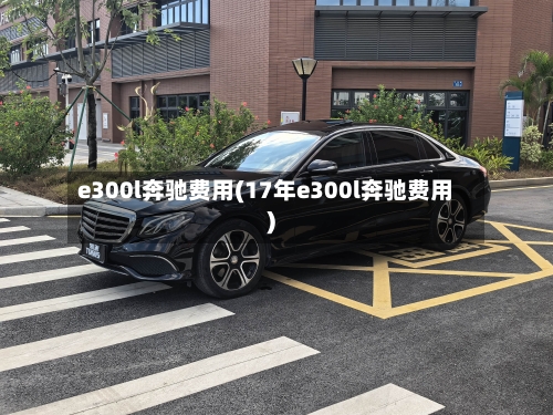 e300l奔驰费用(17年e300l奔驰费用)-第2张图片