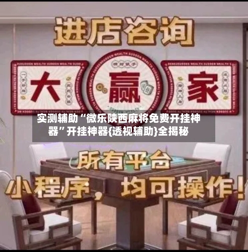 实测辅助“微乐陕西麻将免费开挂神器”开挂神器{透视辅助}全揭秘-第1张图片