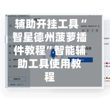 辅助开挂工具“智星德州菠萝插件教程	”智能辅助工具使用教程-第1张图片