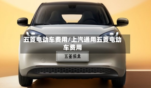 五菱电动车费用/上汽通用五菱电动车费用-第1张图片