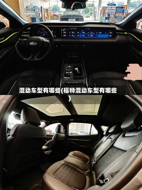 混动车型有哪些(福特混动车型有哪些)-第3张图片