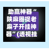 助赢神器“陕麻圈捉老麻子开挂神器	”(透视挂)详细用法教程-第2张图片
