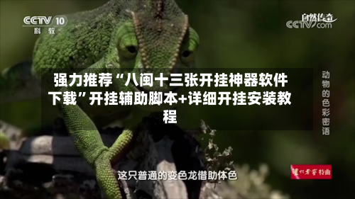 强力推荐“八闽十三张开挂神器软件下载”开挂辅助脚本+详细开挂安装教程-第1张图片