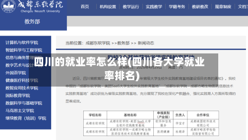 四川的就业率怎么样(四川各大学就业率排名)-第1张图片