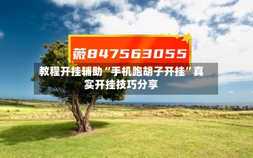 教程开挂辅助“手机跑胡子开挂	”真实开挂技巧分享-第1张图片