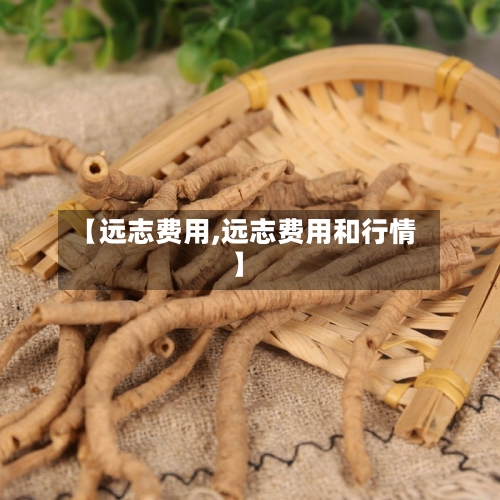 【远志费用,远志费用和行情】-第1张图片