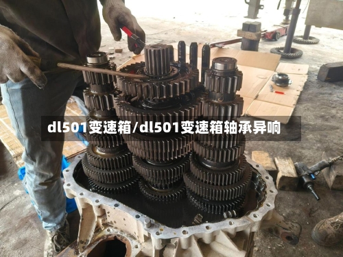 dl501变速箱/dl501变速箱轴承异响-第1张图片