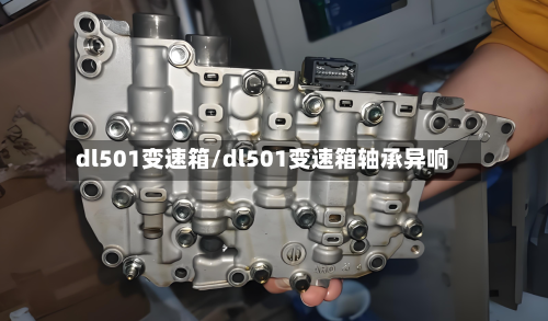 dl501变速箱/dl501变速箱轴承异响-第2张图片