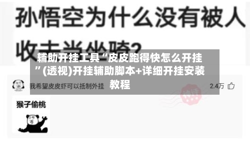 辅助开挂工具“皮皮跑得快怎么开挂”(透视)开挂辅助脚本+详细开挂安装教程-第1张图片