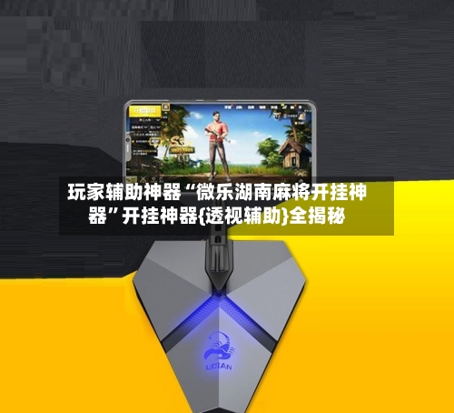 玩家辅助神器“微乐湖南麻将开挂神器	”开挂神器{透视辅助}全揭秘-第2张图片