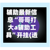 辅助最新信息“哥哥打大a辅助工具”开挂(透视)最新辅助详细-第2张图片