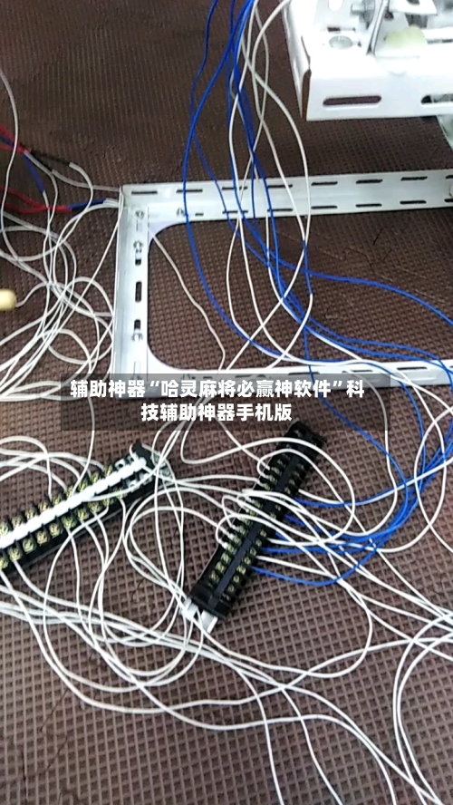 辅助神器“哈灵麻将必赢神软件	”科技辅助神器手机版-第2张图片
