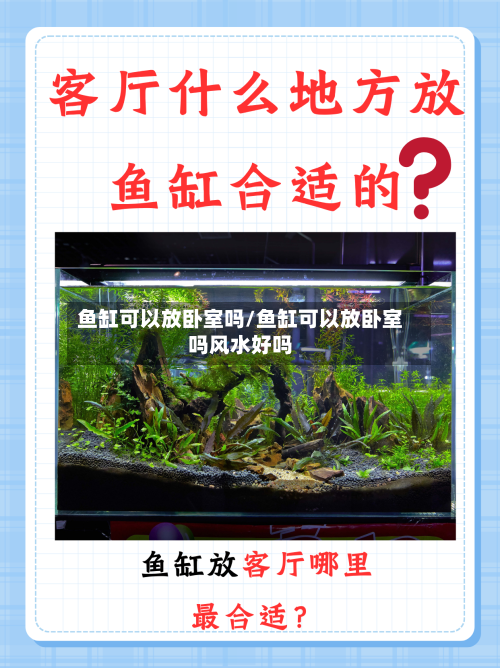 鱼缸可以放卧室吗/鱼缸可以放卧室吗风水好吗-第2张图片
