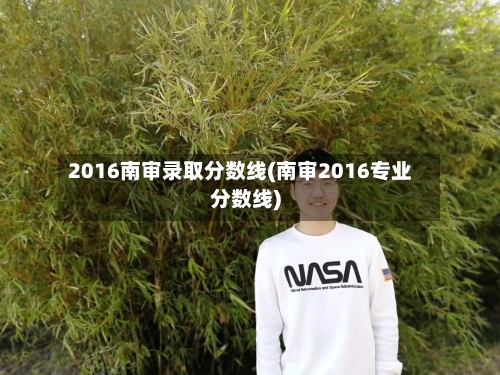 2016南审录取分数线(南审2016专业分数线)-第3张图片