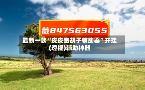 最新一款“皮皮跑胡子辅助器”开挂(透视)辅助神器-第1张图片